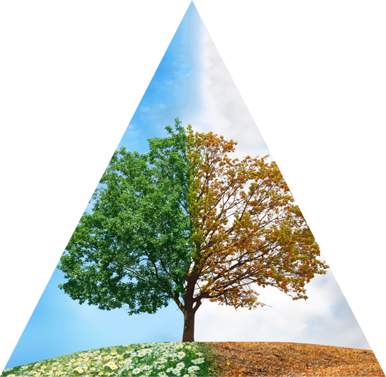 Transformation and Transition